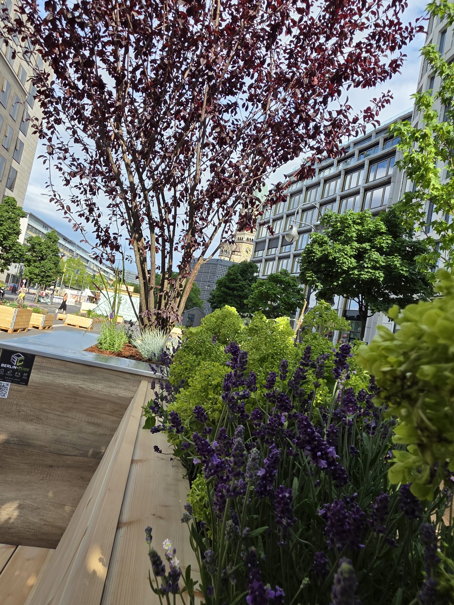 Nahaufnahme der Bepflanzung eines Berlin-Cube-Moduls in der Kantstraße in Berlin